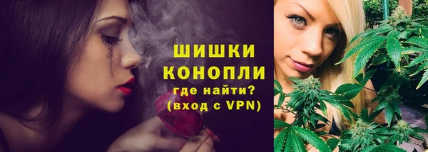 гидра Володарск