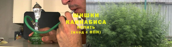 гидра Володарск