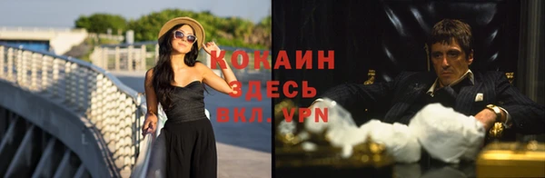 гидра Володарск