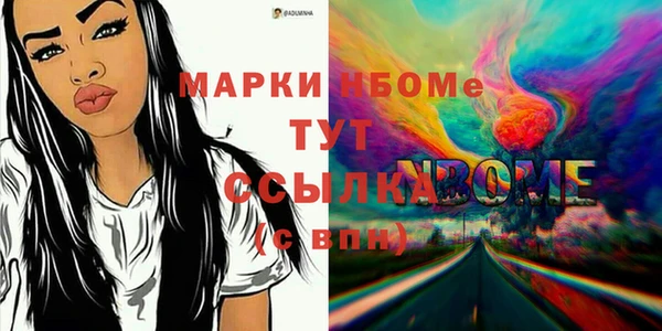гидра Володарск