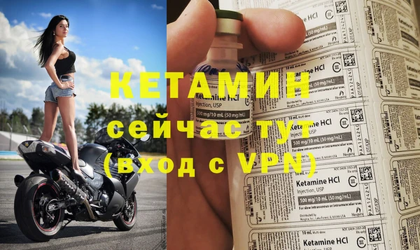 гидра Володарск