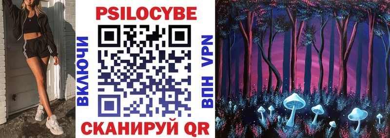 Галлюциногенные грибы Psilocybe  Горячеводский 