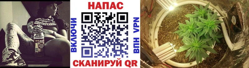 Шишки марихуана сатива  где продают   Горячеводский 